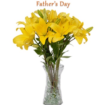 1369736146-PW-FDV-10Y-AL-fathers-day-gifts-to-India.jpg