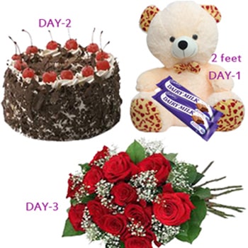 Valentine Day Gift- Serenade Love Treat 