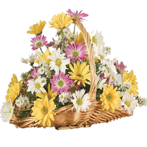 Lovely Daisies Basket 