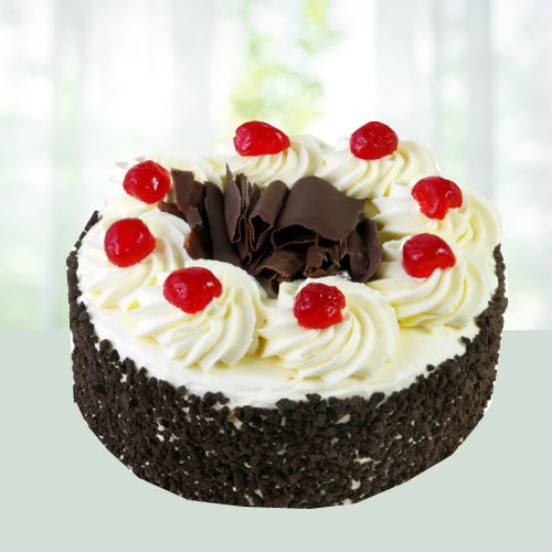Order Black Forest 5 Star Cake Online