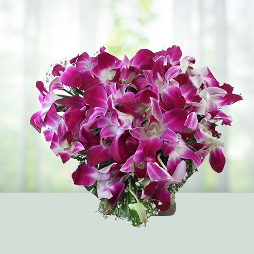 20-purple-orchids-valentine-gifts-to-india.jpg