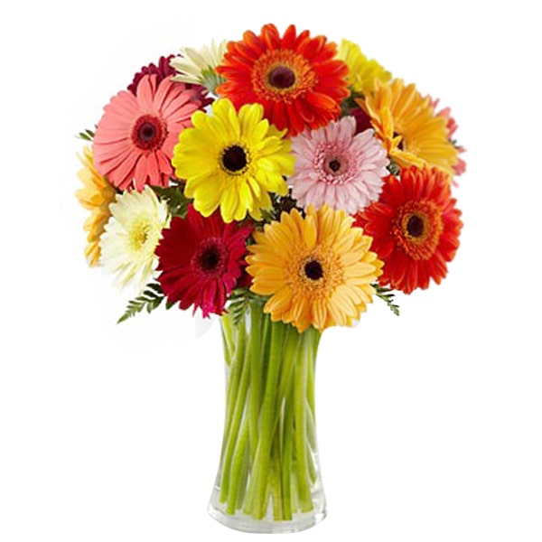 US-12-Gerbera-Daisies-Vase 