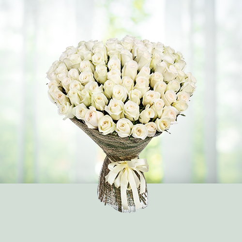 99-white-roses.jpg