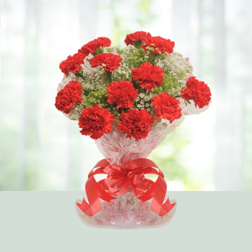 Christmas Gift- Red Carnations Bouquet