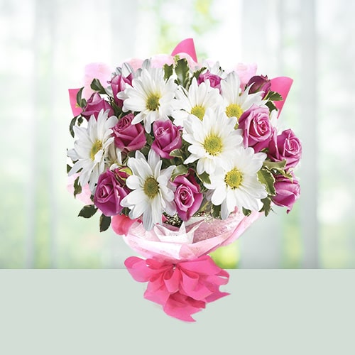Lovely Roses
