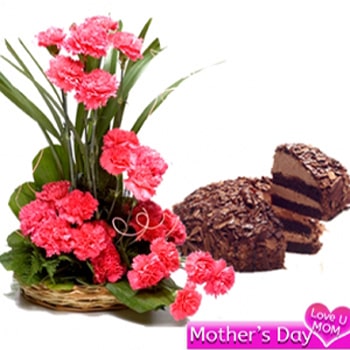 Order Carnation with Cake Combo Online