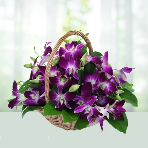 b-10-orchids.jpg