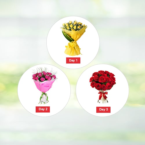 Valentine Roses 3 Days Regular - Valentine Day Gifts to India