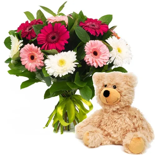 Teddific Day