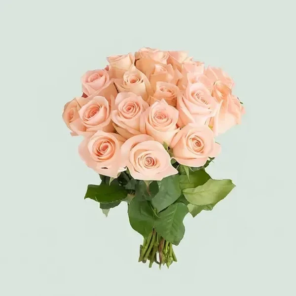 12 Peach Roses