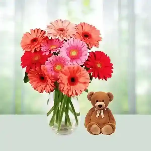 God Bless Gerbera Teddy Gift