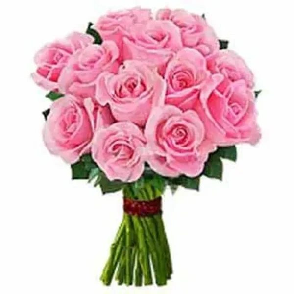 One Dozen Pink Roses