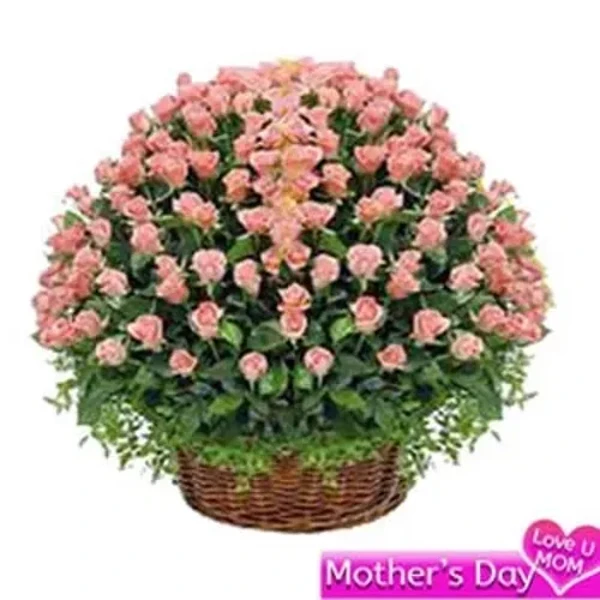 Basket of 100 pink roses