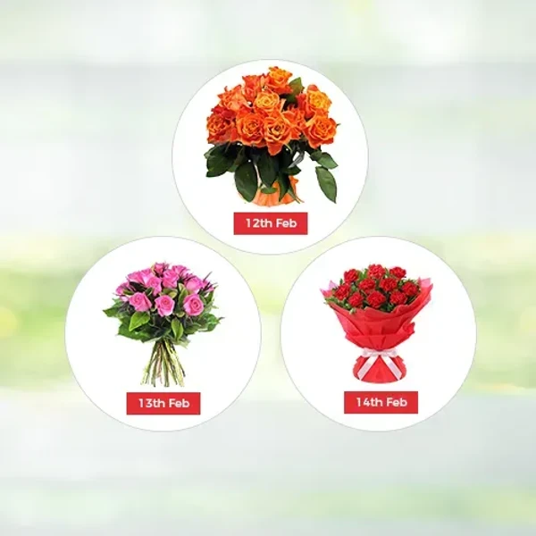 V Day - 3 Days Flowers Hamper