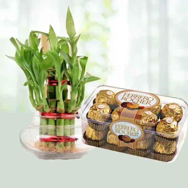 Everlasting Happiness