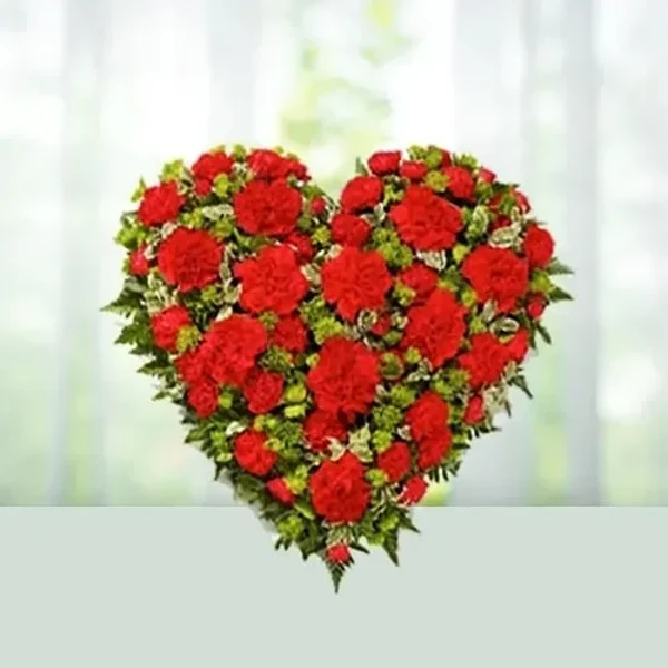 Red Heart Carnations