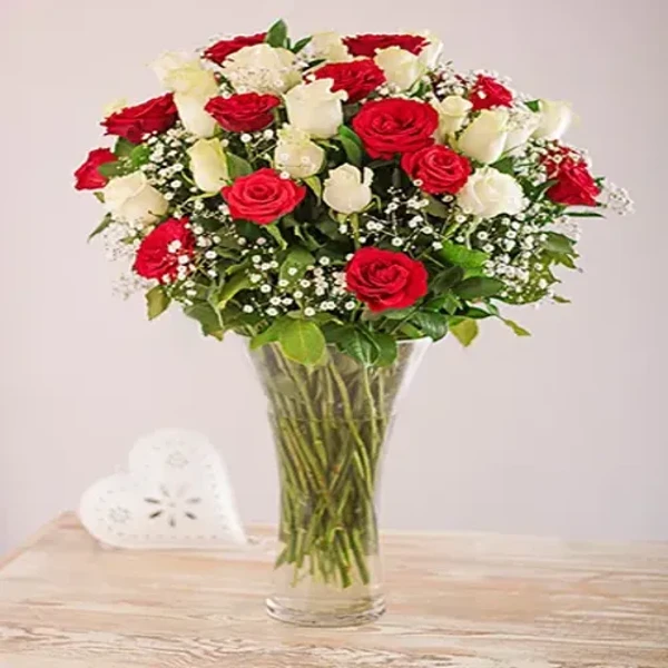 Full Red and White Roses in a Vase