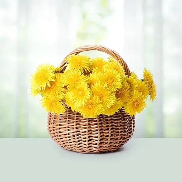 Yellow Mums Bouquet