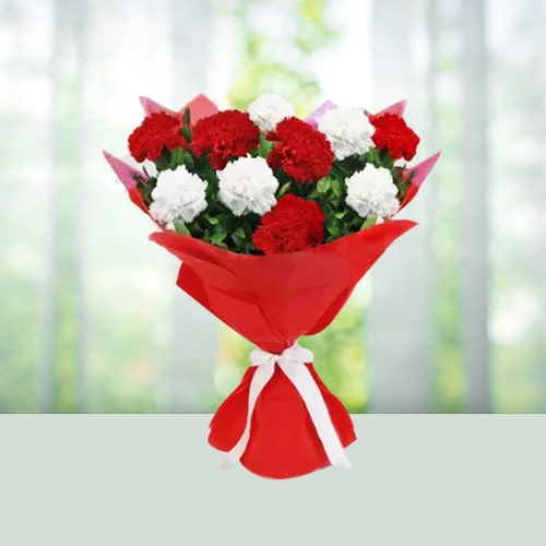 14 Red and White carnations