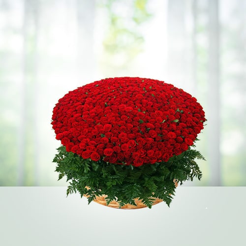 pw-1000-red-roses-bunch-to-india.jpg