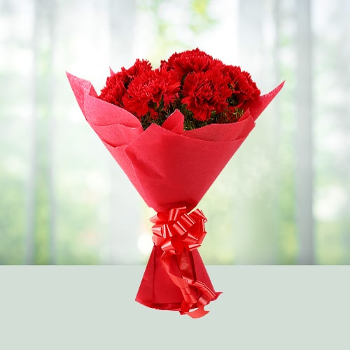 12 Red Carnations