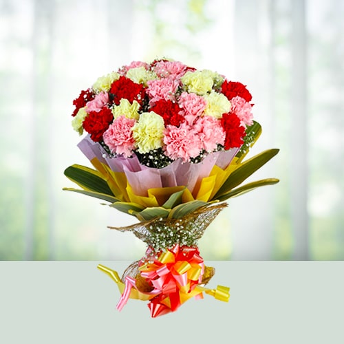 pw-15mix-carnations-n.jpg