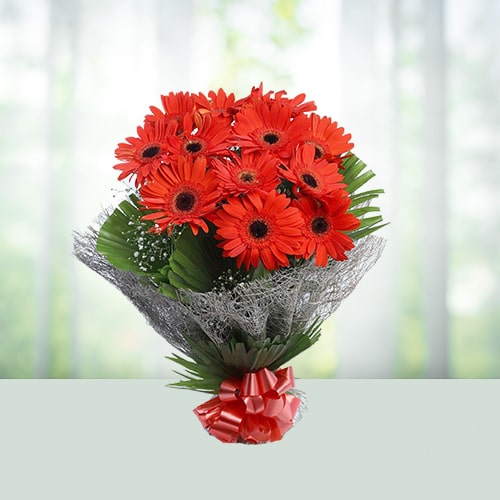 12 Red Gerbera Flower Bouquet 