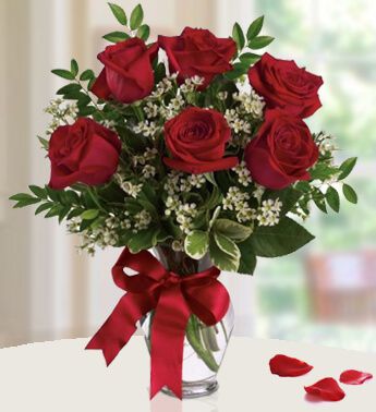 pw-6-red-roses-uae.jpg