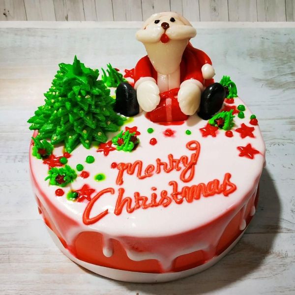 Order Christmas Gift- Special Santa Cake Online