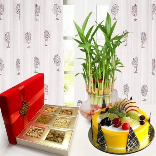 pw-fruit-cake-dry-fruit-and-lucky-bamboo.jpg