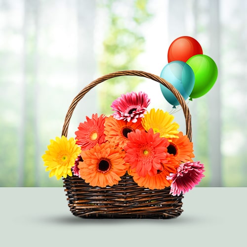 Flowers Basket-15 Mixed Gerberas- Balloons 