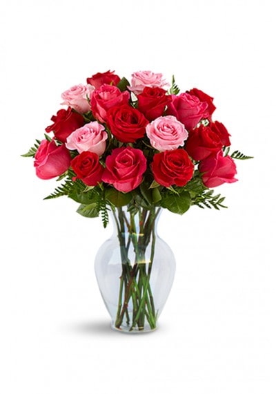 Flowers to UAE- Art Of Roses