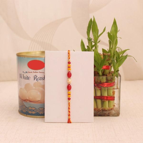 Rakhi Good Luck Plant and Sweet Hamper