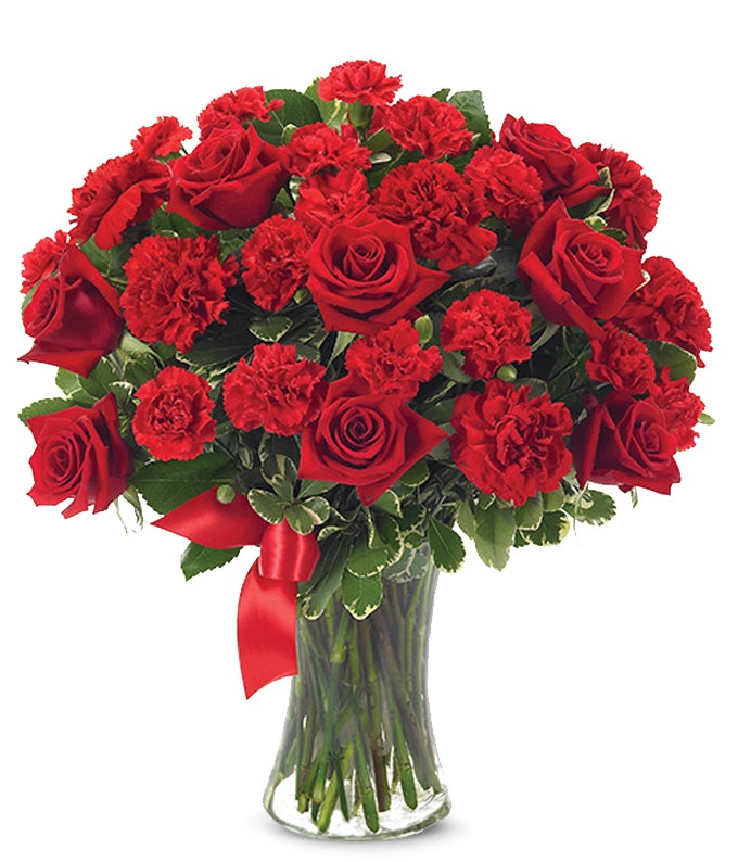 pw-send-flower-usa-red-roses-carnation.jpg
