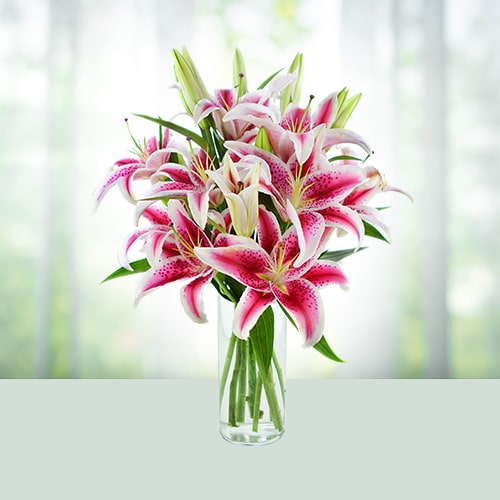 Pink lilies in a Vase