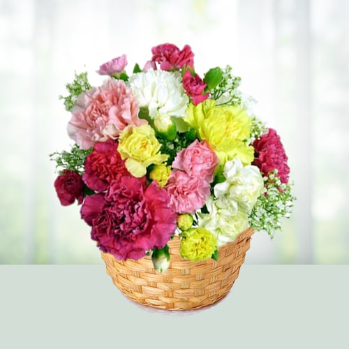 Colorful Carnations Basket 