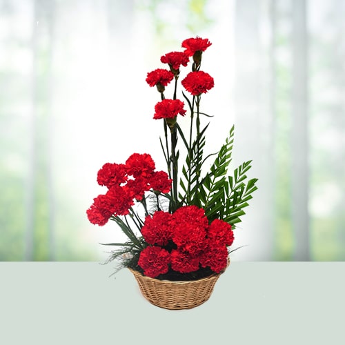 Basket Of Red Carnations 