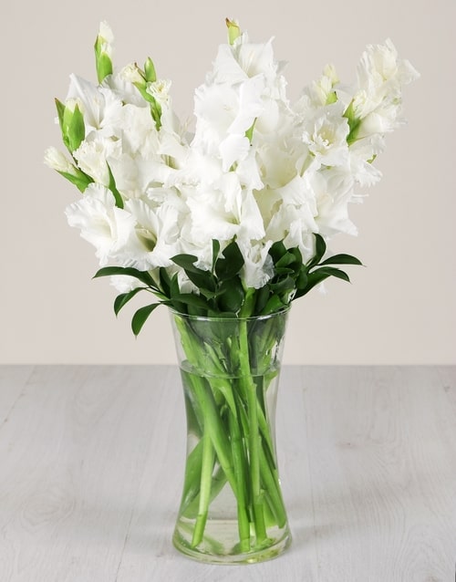 White Gladiolus in a Glass Vase