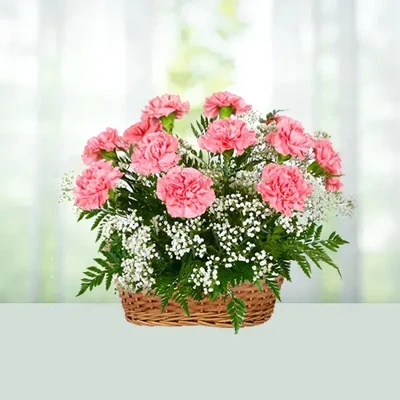 10 Carnations Flowers Basket