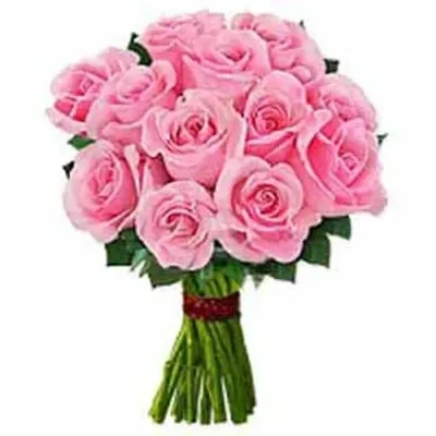 One Dozen Pink Roses