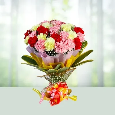 12 mix carnations bouqet