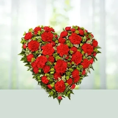 Red Heart Carnations