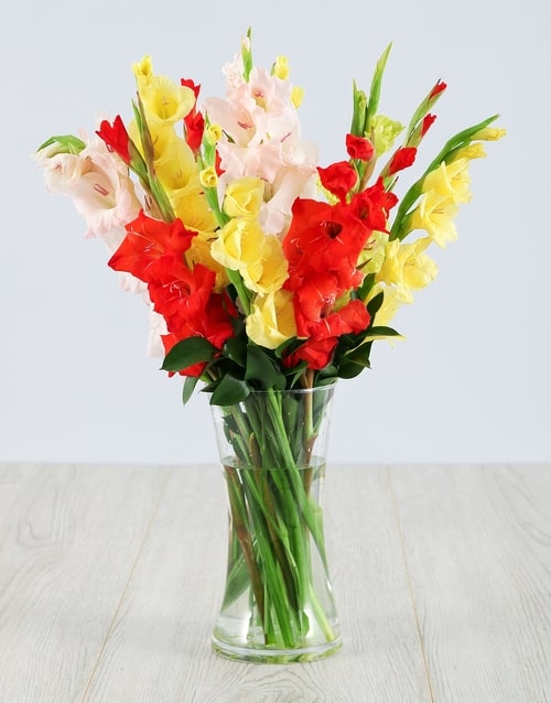Mixed Gladiolus in a Glass Vase