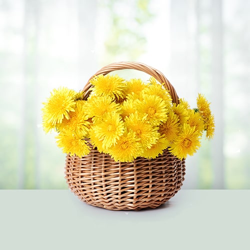 Yellow Mums Bouquet 